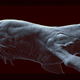 Illustration for article titled Concept Art From That Incredible Space Whale Short Film